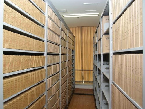 楚雄州档案局场地铺装材料的选择与应用